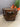 68918 Vintage Hexagonal Wooden Side Table with Glass Top