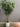 47923 Artificial Ficus Tree in White Planter
