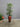 95902 Tall Decorative Floor Vase with Bamboo Plant