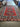 78770 8'10"x12' Persian Style Geometric Red Area Rug
