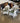 68490 White Wicker Patio Chairs with Cushions