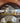 76458 Vintage Grandfather Clock with Wooden Finish