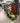 56741 Ryobi Cordless Electric Lawn Mower - 30 Day Guarantee !