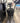 56992-ND Octane Fitness Elliptical Trainer - 30 Day Guarantee !