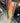12984 Abstract Multicolor Wall Art