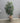51297 Tall Potted Artificial Palm Plant