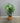 75991 Artificial Palm Plant with Woven Basket
