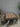 24741 Wrought Iron and Wood Coffee Table