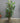 85294 Tall Artificial Palm Tree in Ornate Urn Planter