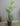 59935 Artificial Palm Plant with Woven Basket
