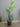 59935 Artificial Palm Plant with Woven Basket