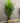 32127 Lifelike Artificial Areca Palm Tree in Pot