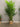 38563 Artificial Areca Palm Tree in Cardboard Planter