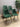 03890 Emerald Green Velvet Dining Chairs - Set of 4