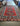 78770 8'10"x12' Persian Style Geometric Red Area Rug
