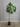 08699 Artificial Ficus Tree in Black Pot