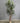 34080 Tall Indoor Decorative Artificial Palm Plant