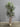 34080 Tall Indoor Decorative Artificial Palm Plant