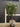 27233 Artificial Potted Plant with Stone Accents