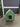 43895 Small Green Pet House