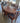 74009 Vintage Wooden Dining Table Set with Six Chairs