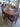 74009 Vintage Wooden Dining Table Set with Six Chairs