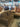 11244 Plush Brown Microfiber Sectional Sofa