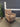 66957 Retro Patterned Recliner Armchair