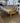 93773 Wooden Frame Futon with Brown Cushion