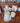 72532 Floral Porcelain Dinner Set