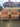 87617 Vintage Pink Armchairs Set
