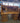 63649 Vintage Oak Roll Top Desk