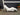 22281 Modern White Lounge Chair