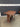 86254 Antique Wooden Drop Leaf Table
