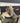 15910 Craftsman 10-Inch Compound Miter Saw