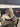 15910 Craftsman 10-Inch Compound Miter Saw