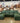 97637 Vintage Green Sectional Sofa