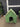 60125 Green Water-Resistant Dog House