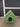 84299 Green Wooden Dog House