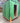 Shed 8'x 8'