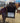 73001 Antique Black Chest of Drawers