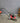 77548 Red & Black Gas Push Lawn Mower - 30 Day Guarantee !