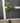 27301 Fiddle Leaf Fig Tree in Black Planter