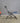 15558 Foldable Exercise Bike with Adjustable Settings