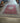 26320 160"x118" Persian Style Red and Blue Area Rug